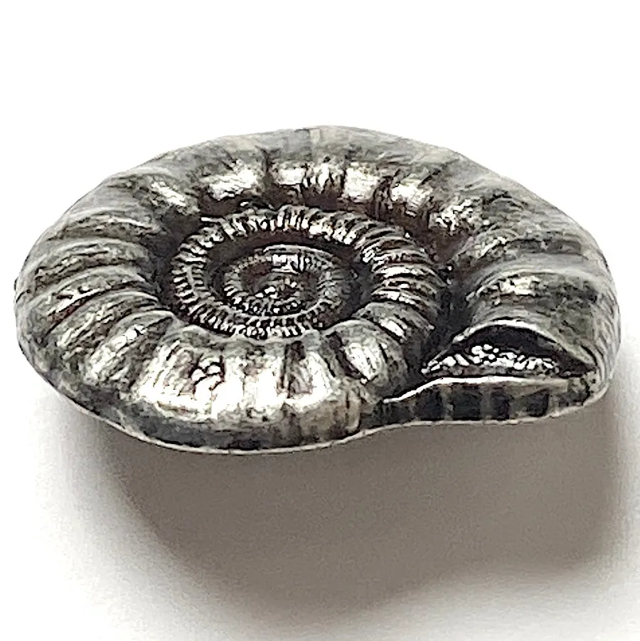 Nautilus Shell Button, Silver Metal Shank Back 15/16" #SK-866