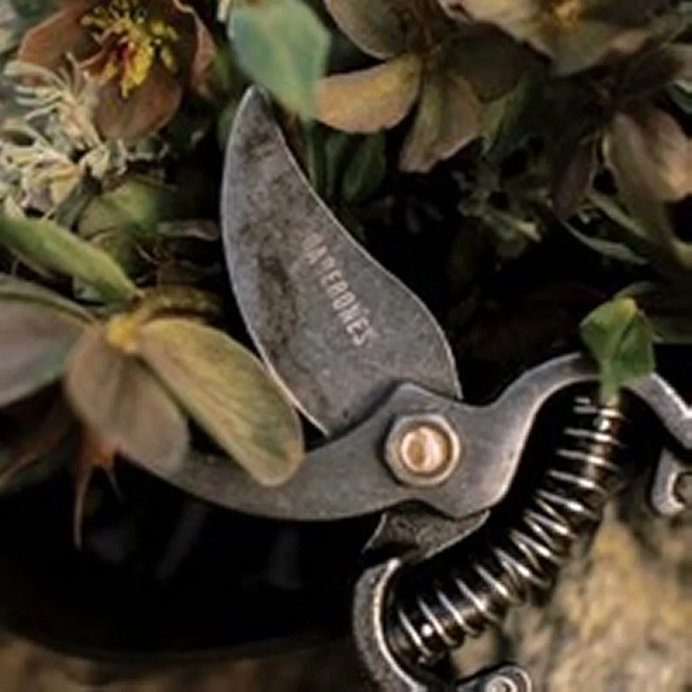 Pruner With Sheath