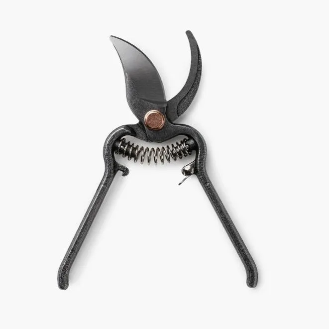 Pruner With Sheath