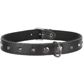 TRIXIE M BASIC 36-41CM 19641